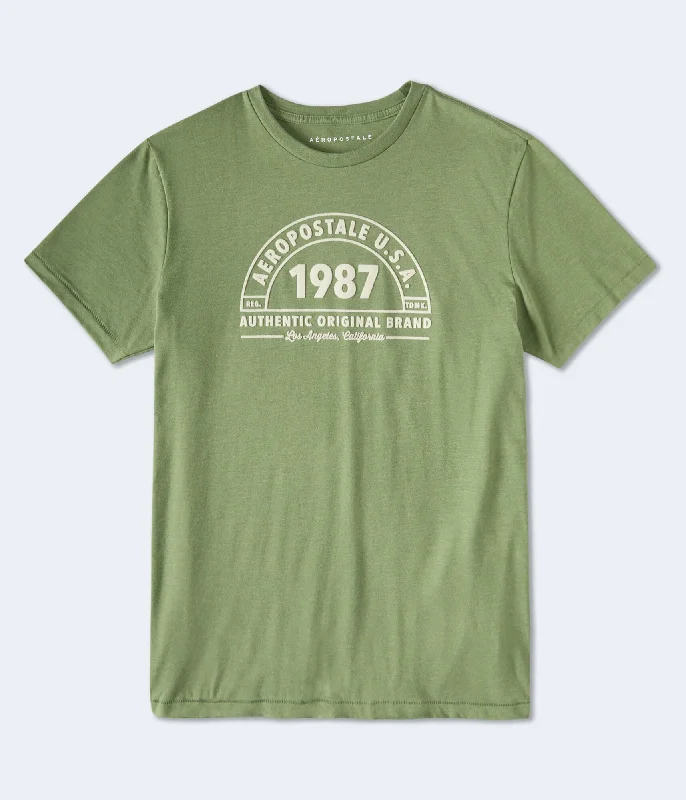 Aeropostale 1987 Arch Flocked Graphic Tee