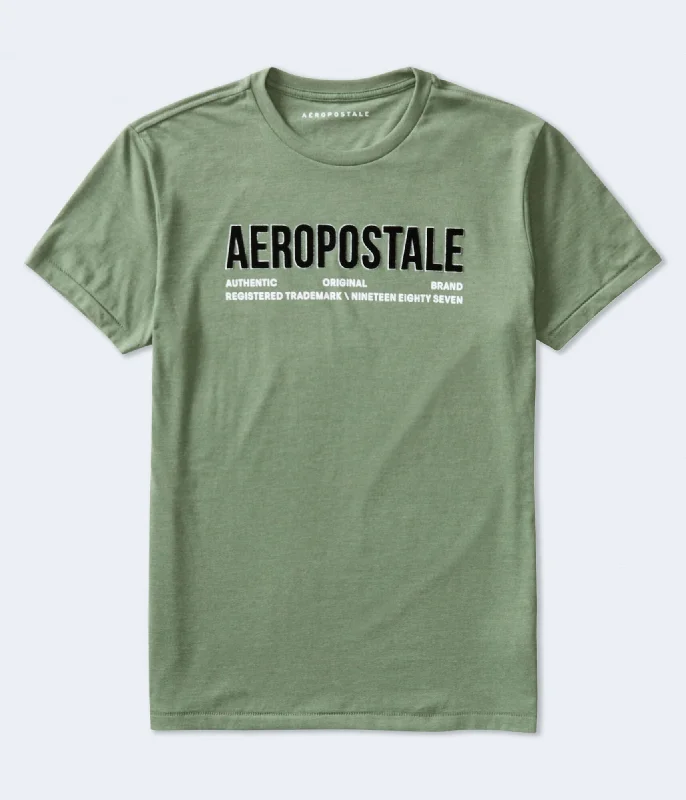 Aeropostale Authentic Logo Appliqué Graphic Tee