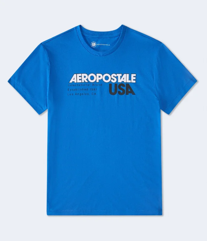 Aeropostale Usa Graphic Tee